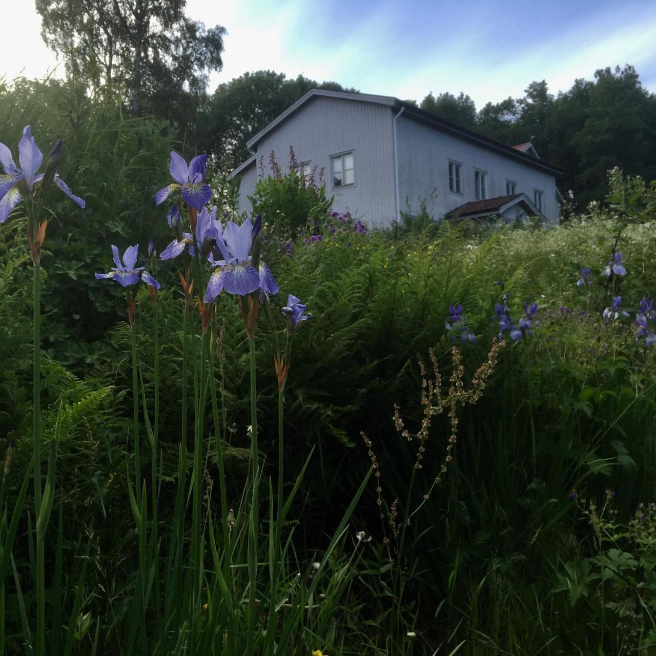 Sagverket Hoega Kusten Rö 外观 照片